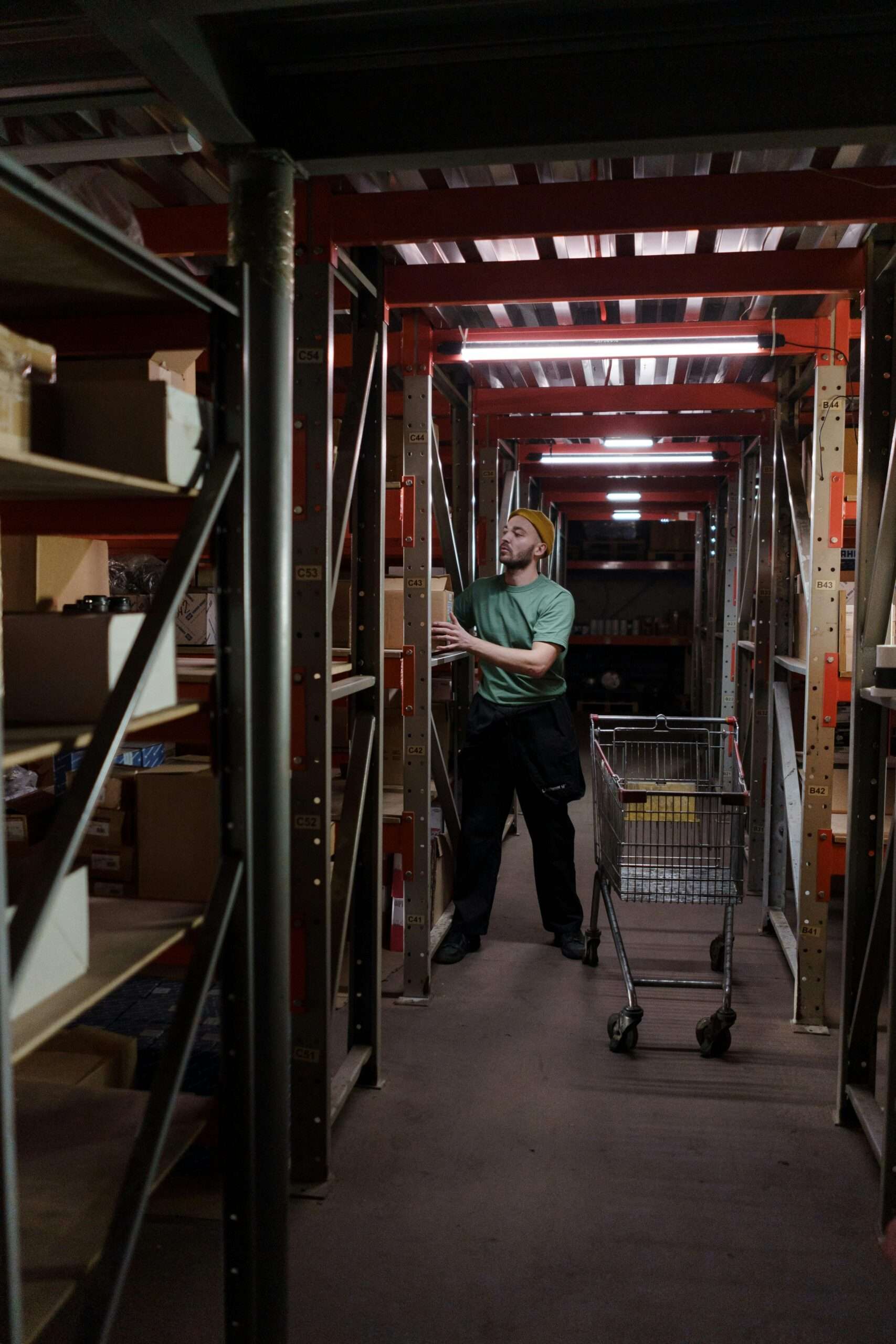 Warehouse Management